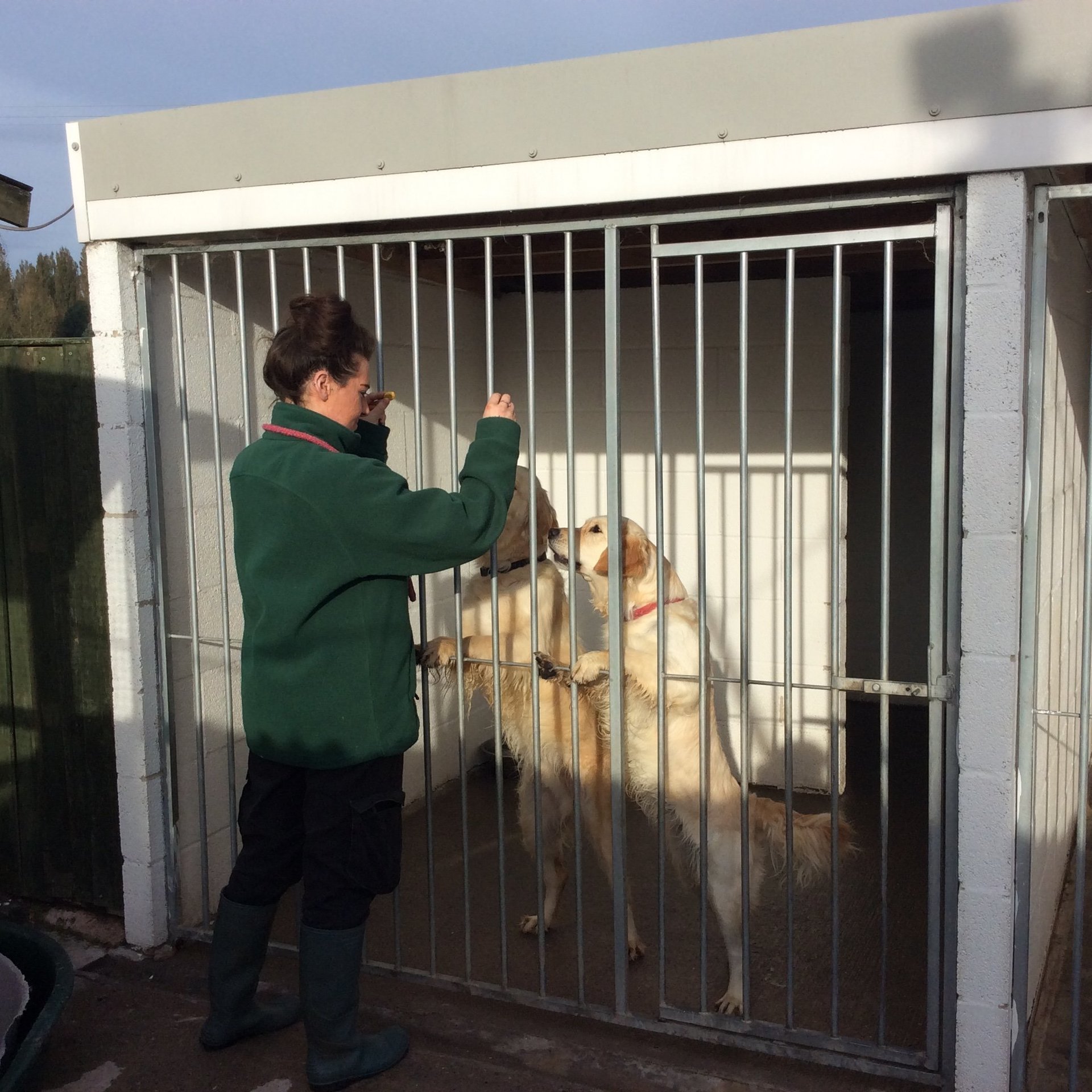 Pet groomers, Longcroft Boarding Kennels & Cattery