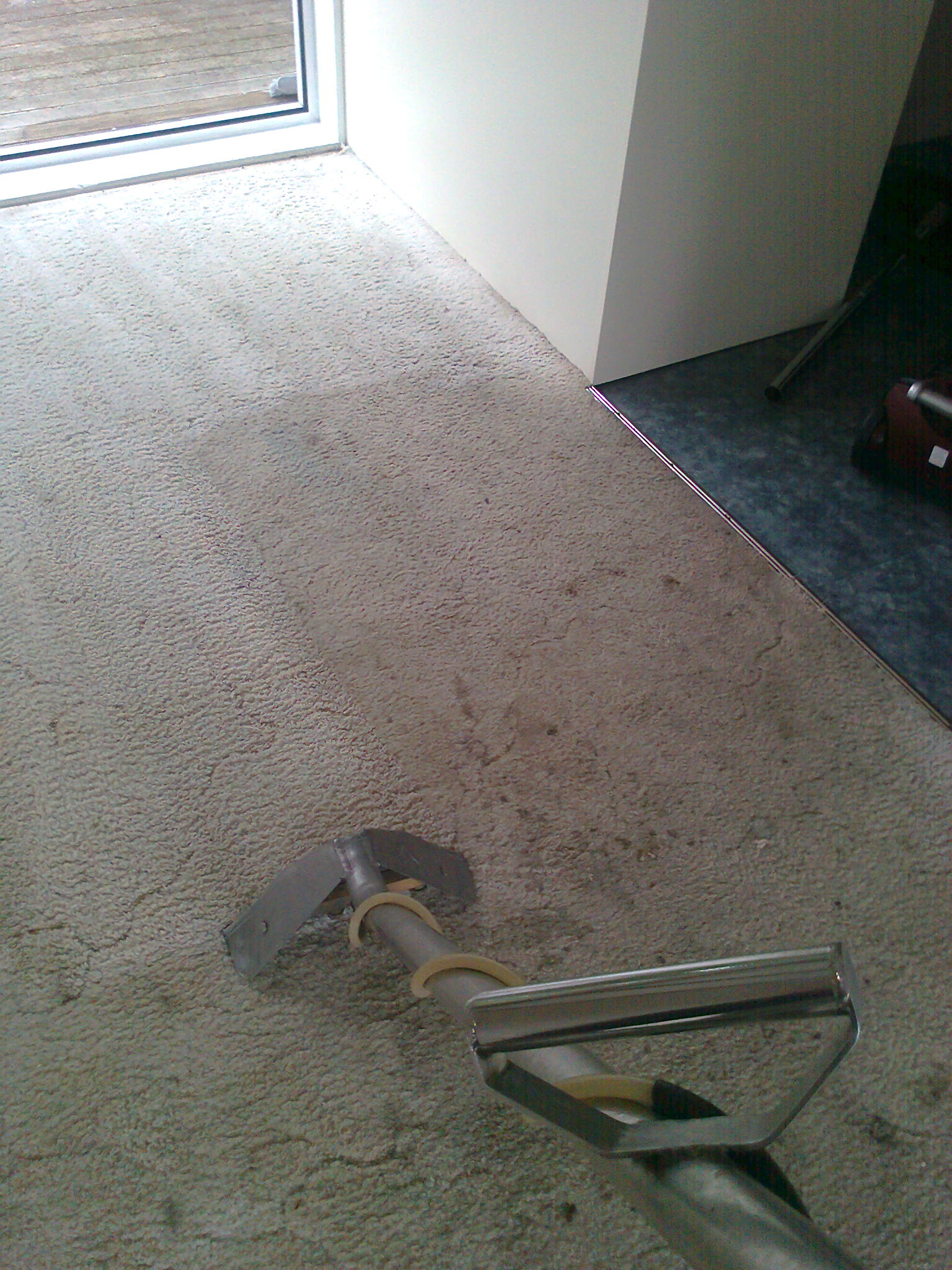 Carpet care Tauranga First Carpet Cleaning