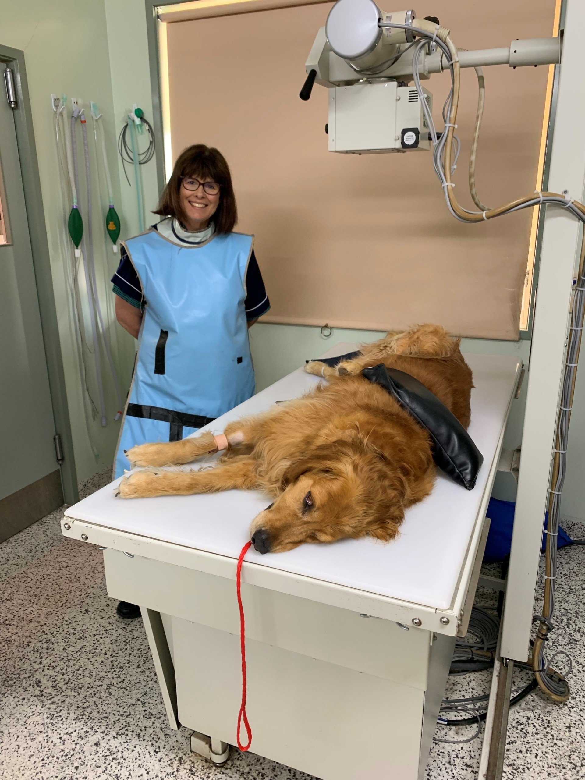 Veterinary Services Horsham Veterinary Hospital