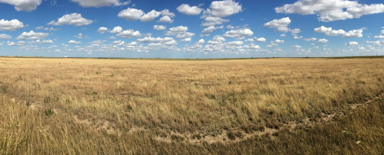 Realty One Homes for Sale Rentals Apartments Liberal, KS