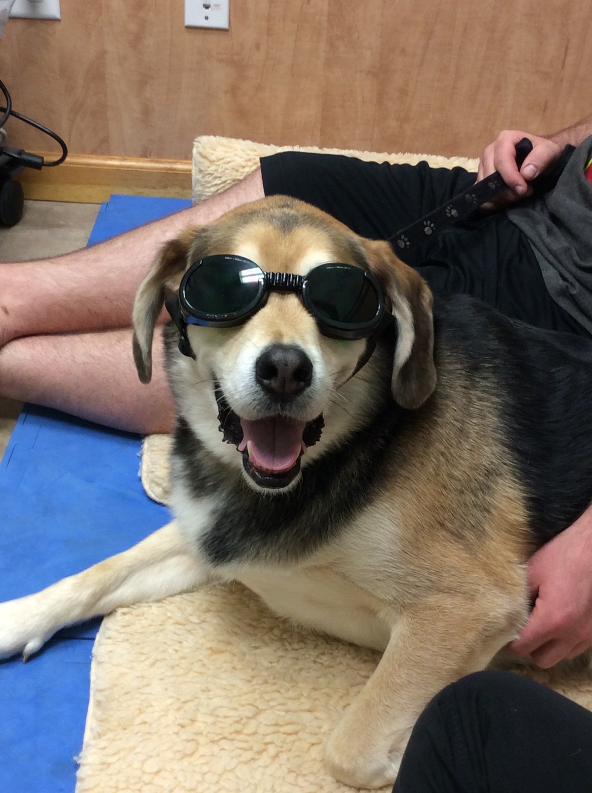 Staff at Mill Pond Veterinary Clinic and Kennel was founded in 1996