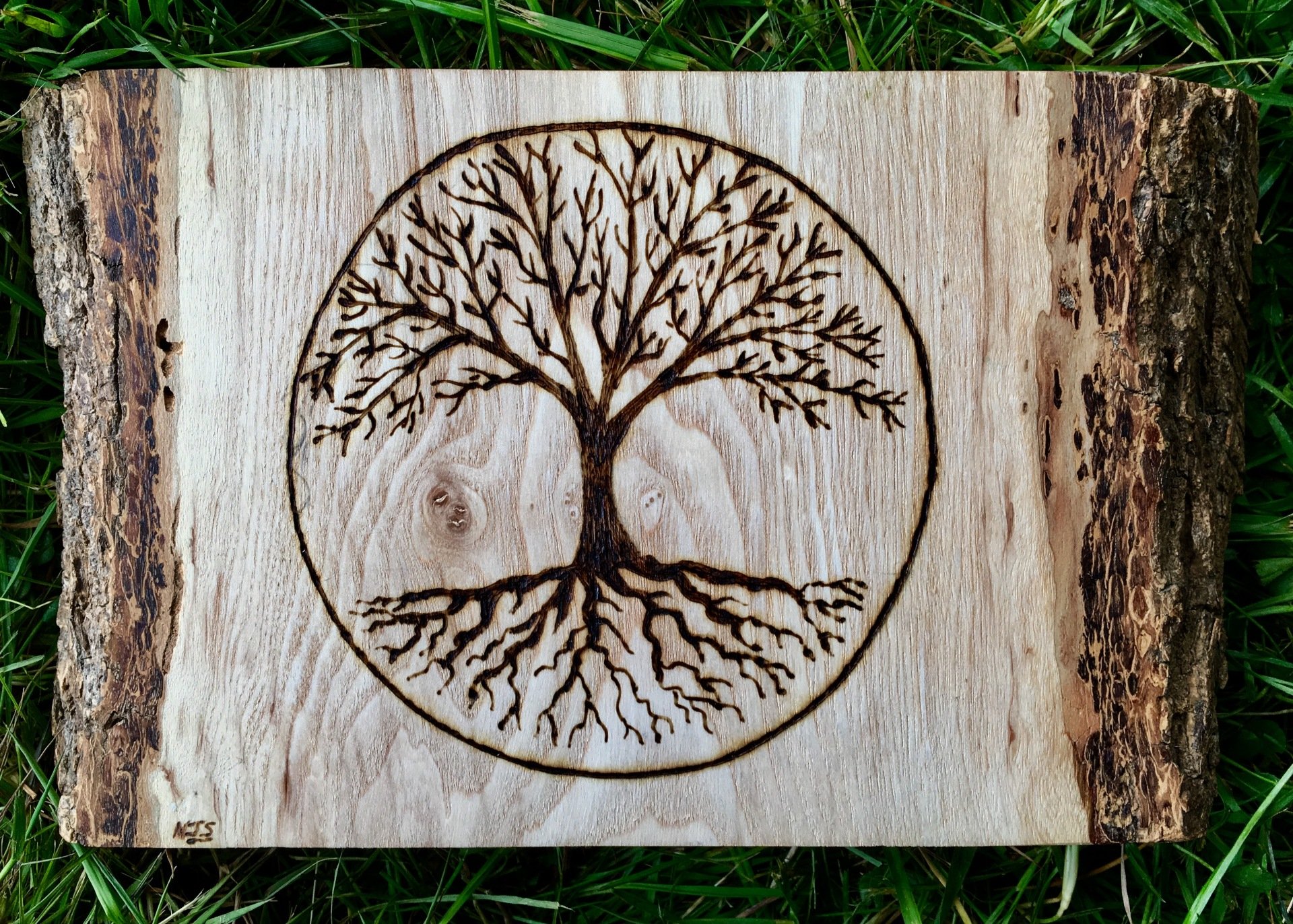 GALLERY - TREES