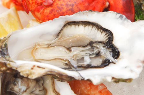 Harbour Seafood Market