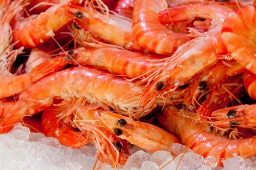 fresh prawns