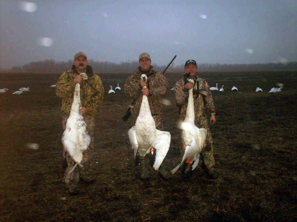 NC duck hunt, North Carolina Duck hunting Guide, Swan Hunting