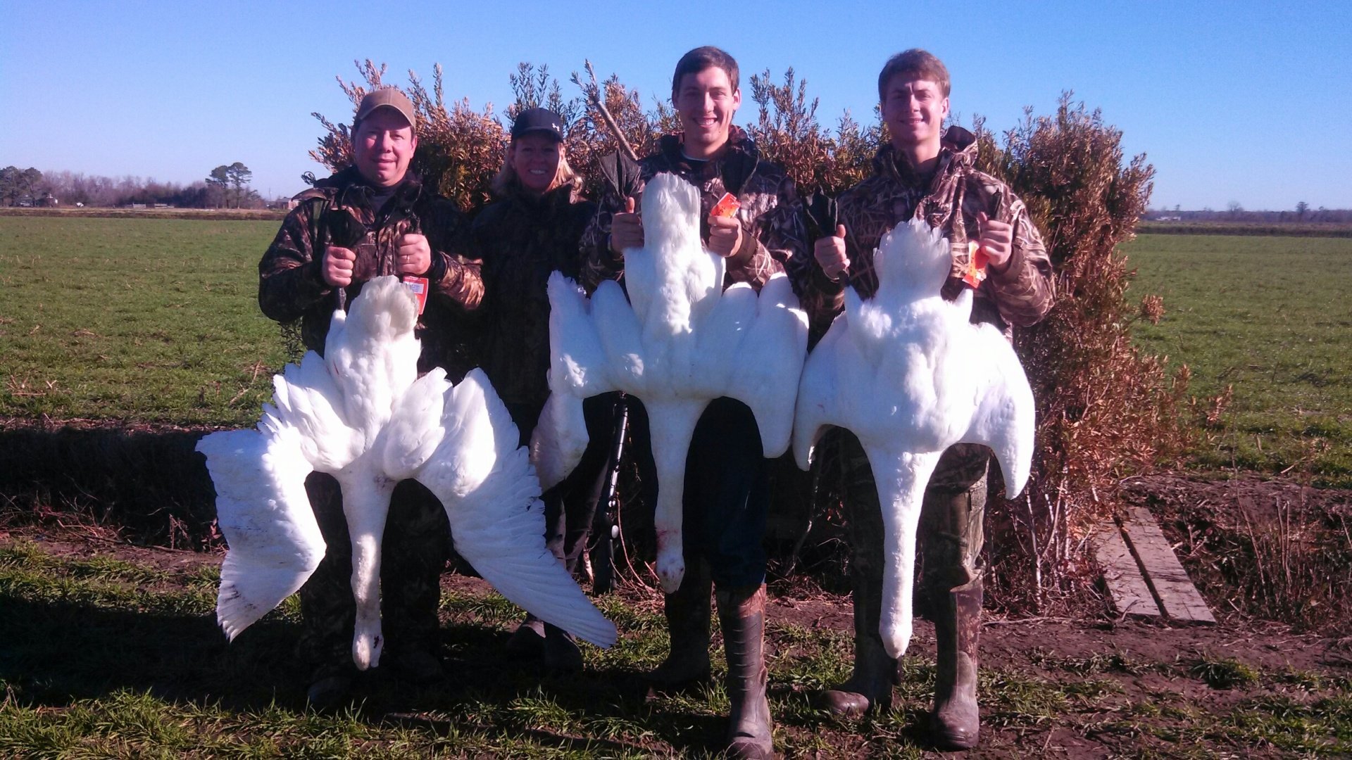NC duck hunt, North Carolina Duck hunting Guide, Swan Hunting