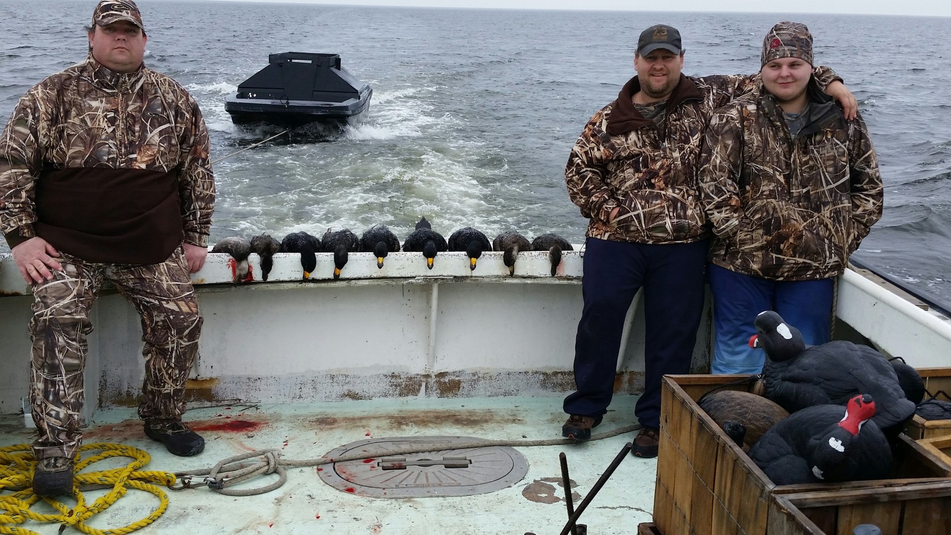 NC duck hunt, North Carolina Duck hunting Guide, Swan Hunting