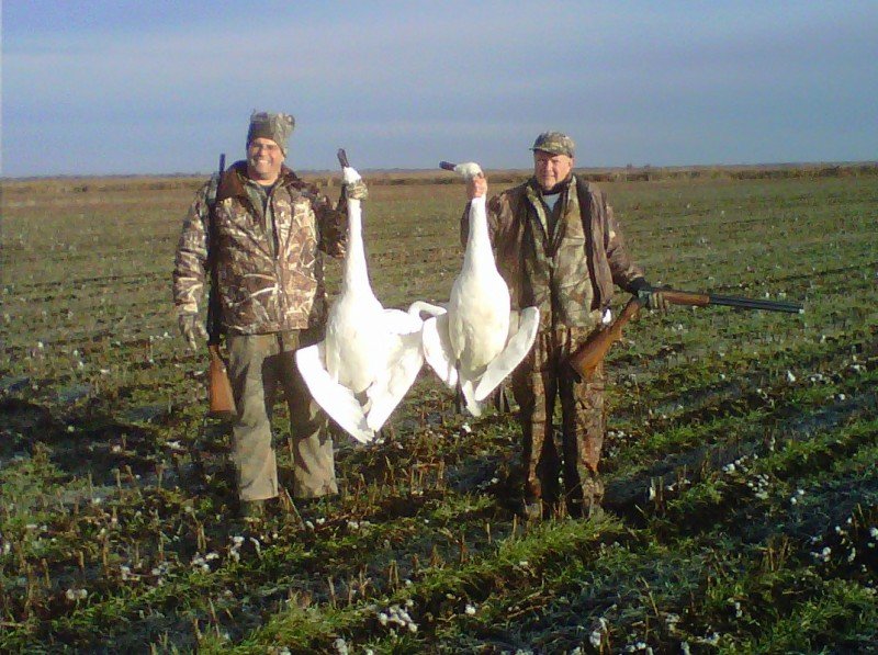 NC duck hunt, North Carolina Duck hunting Guide, Swan Hunting