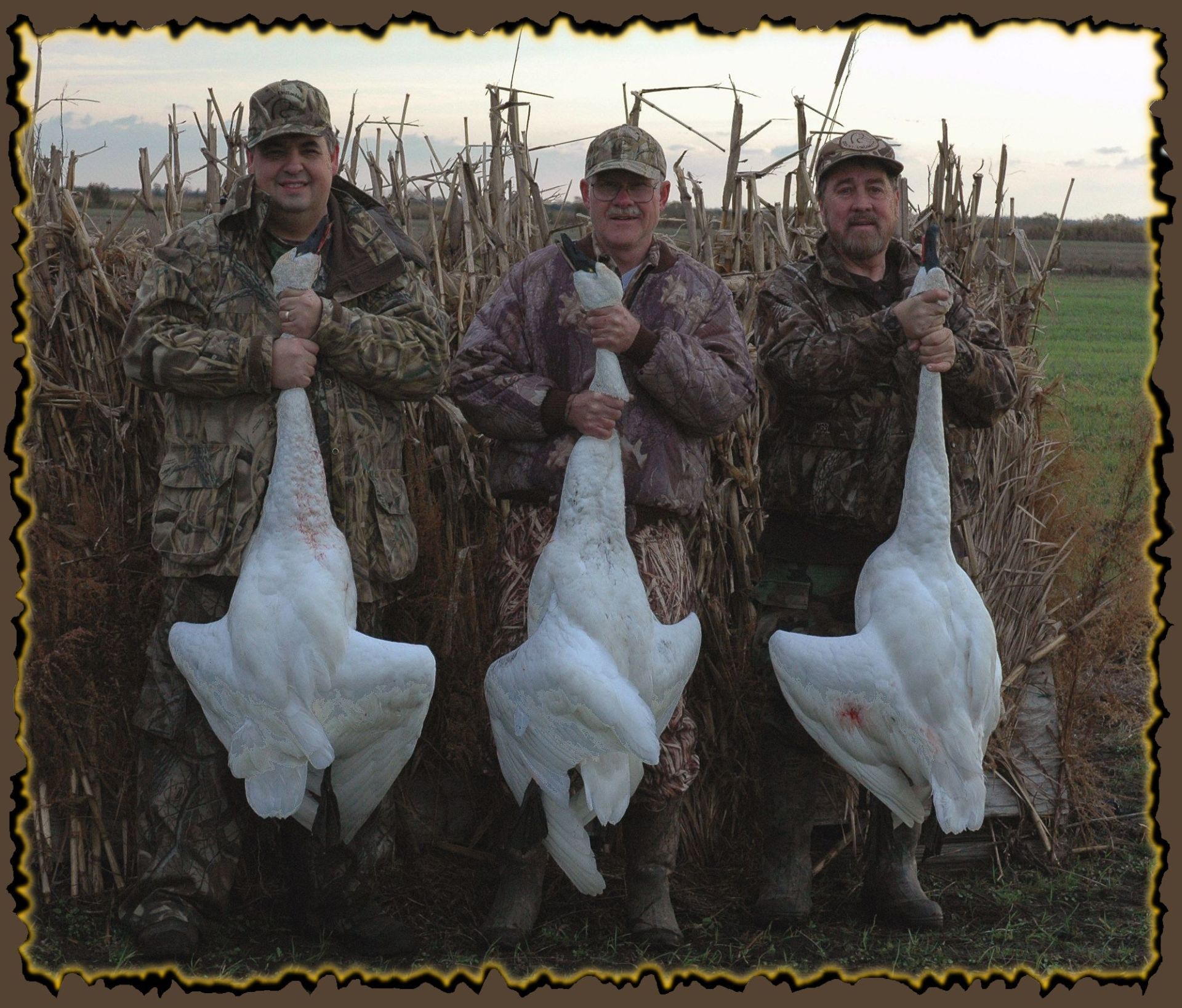 NC duck hunt, North Carolina Duck hunting Guide, Swan Hunting