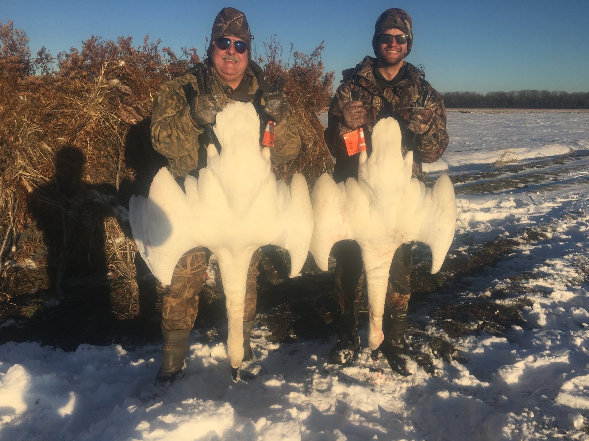 NC duck hunt, North Carolina Duck hunting Guide, Swan Hunting