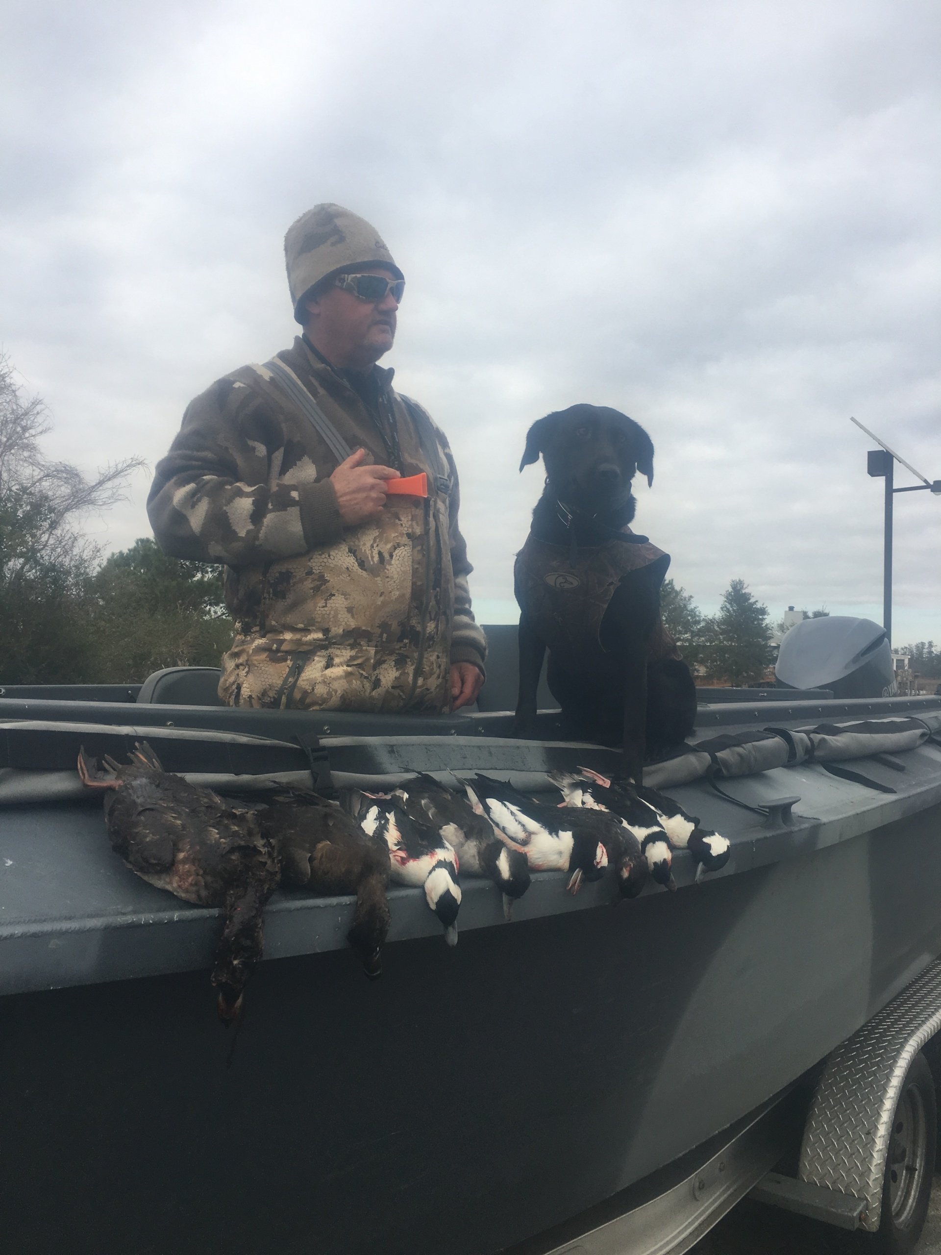NC duck hunt, North Carolina Duck hunting Guide, Swan Hunting