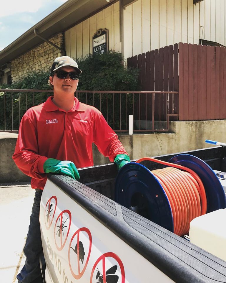 Pest Control Belton, TX Elite Exterminators