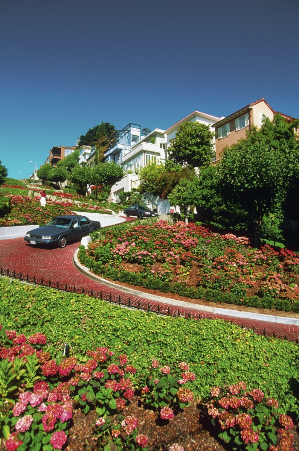 driveway with a lot of green