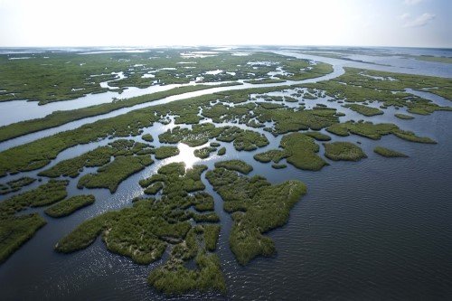 Coastal Restoration - Baton Rouge, LA - Coastal Environments, Inc. Coastal Restoration - Baton Rouge, LA - Coastal Environments, Inc.