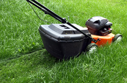 A motor mower cutting through an overgrown lawn