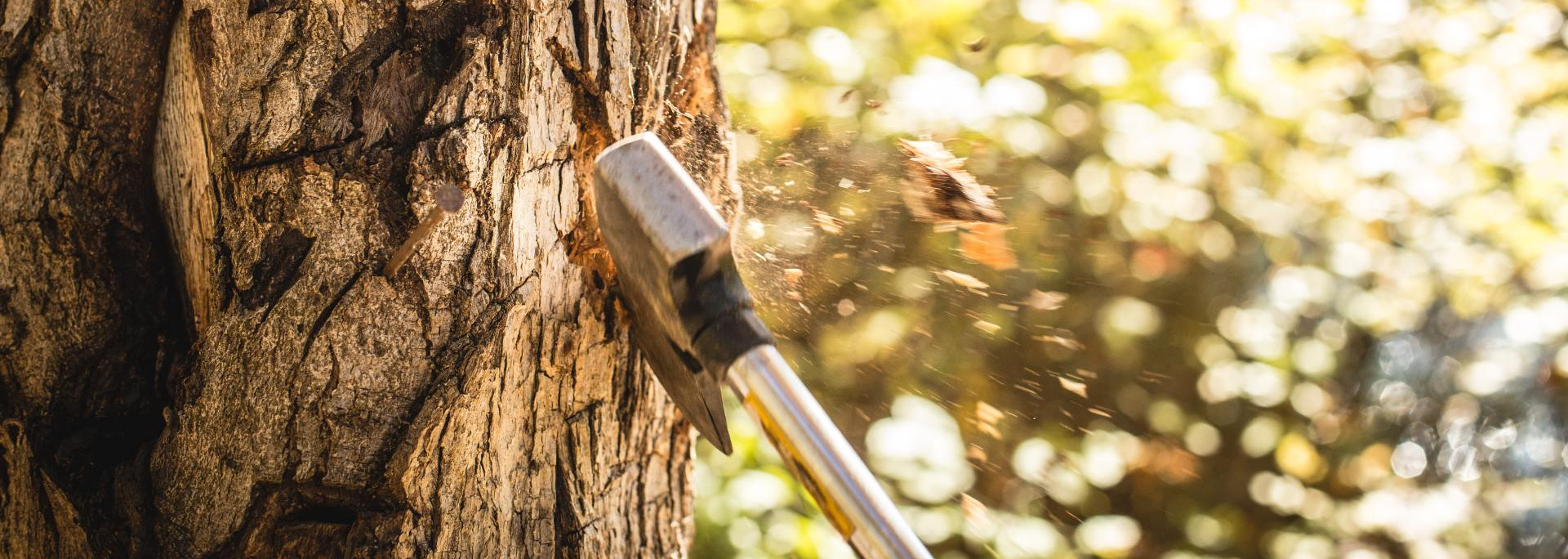 A Step-by-Step Guide to Cutting Down a Tree Safely and Efficiently How To Cut Down A Tall Tree By Yourself A Step-by-Step Guide to Cutting Down a Tree Safely and Efficiently - How To Cut Down A Tall Tree By Yourself
