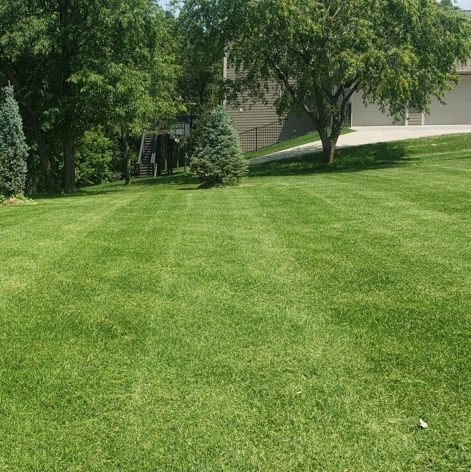 Lawn Care Rochester, MN Advanced Lawn Services
