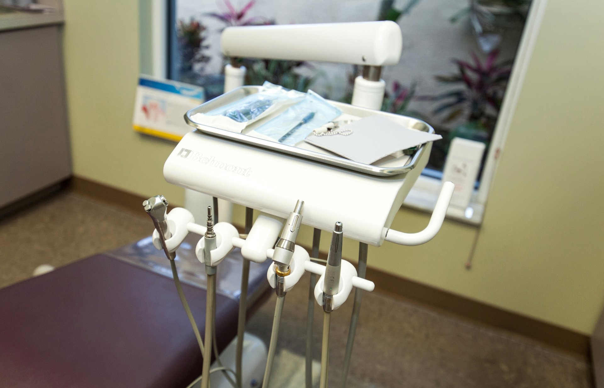 A Full Service Dentist in Venice, FL Davis & Beyer DDS PA