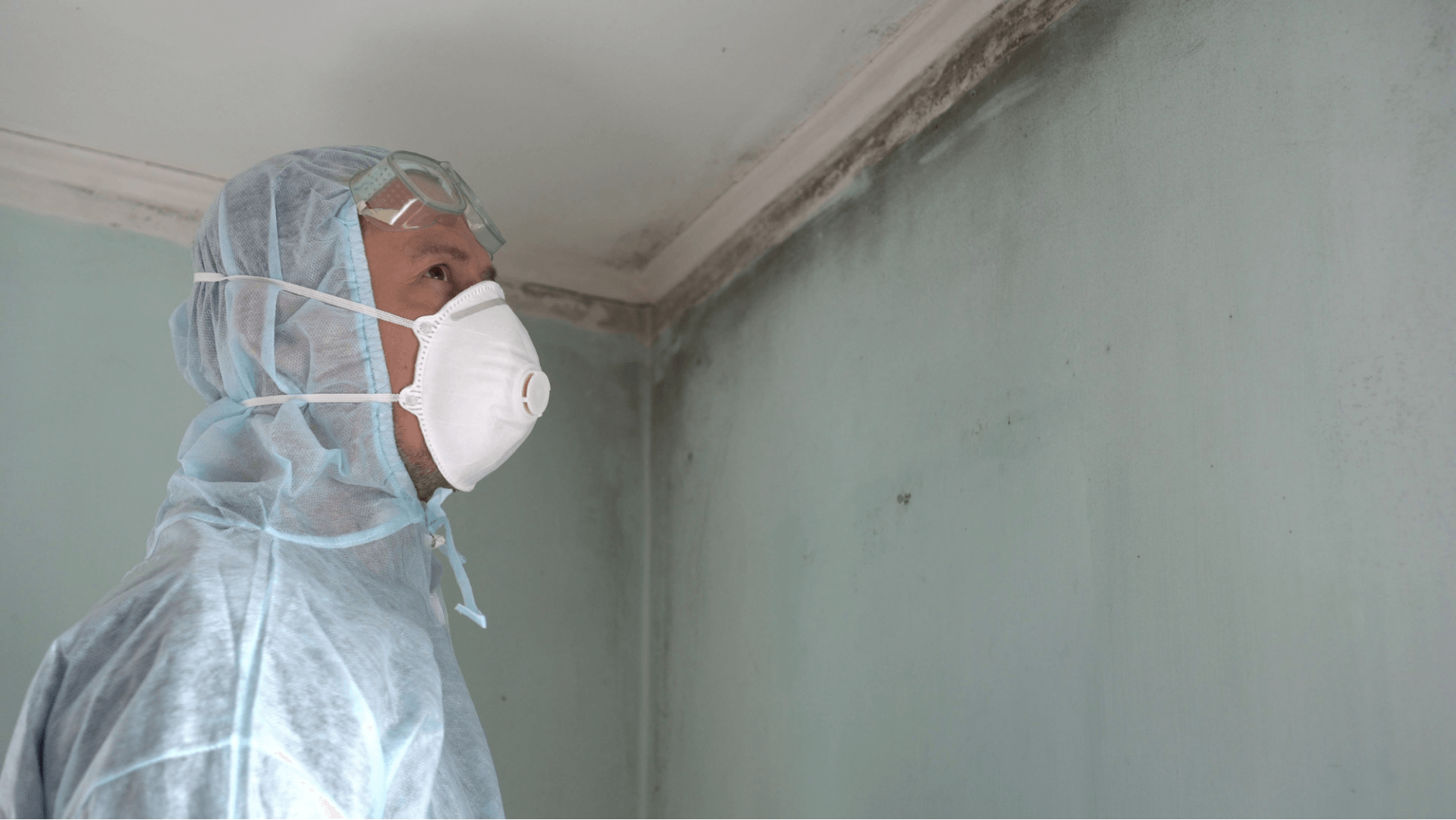 Marion Ia Mold Removal Remediation Inspection Services What S The Average Cost Of A Professional Mold Inspection In Eastern Iowa