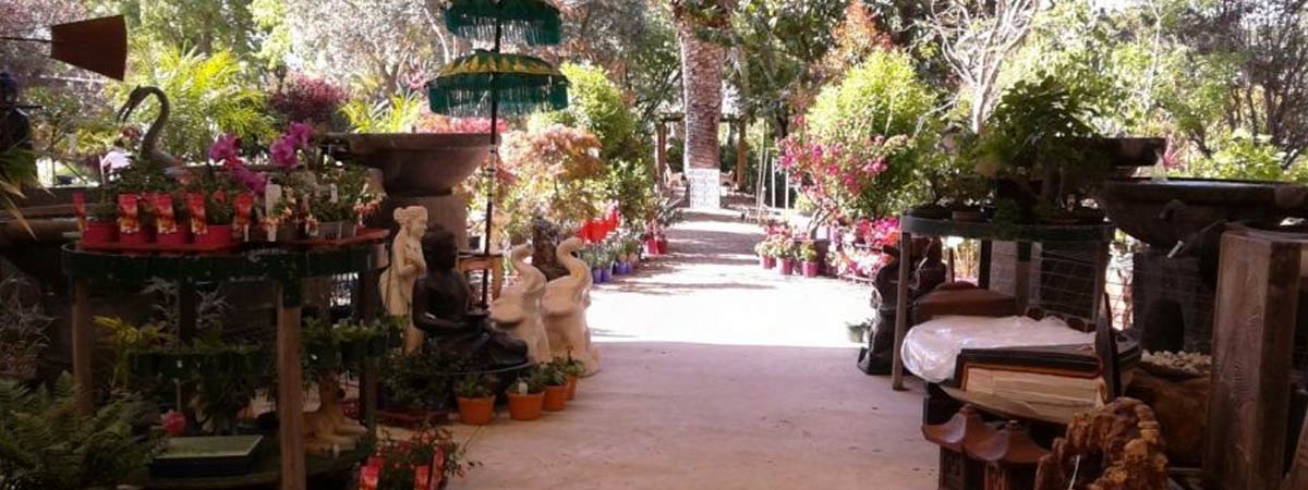 Garden Nurseries in Perth | The Gardeners Nursery