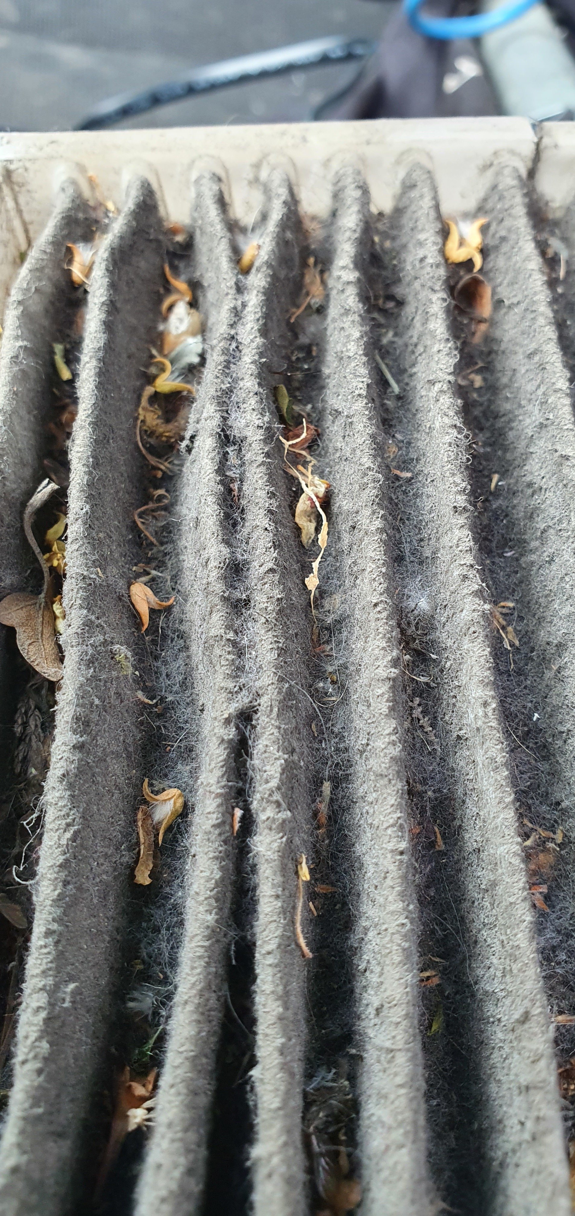 Peugeot pollen filter