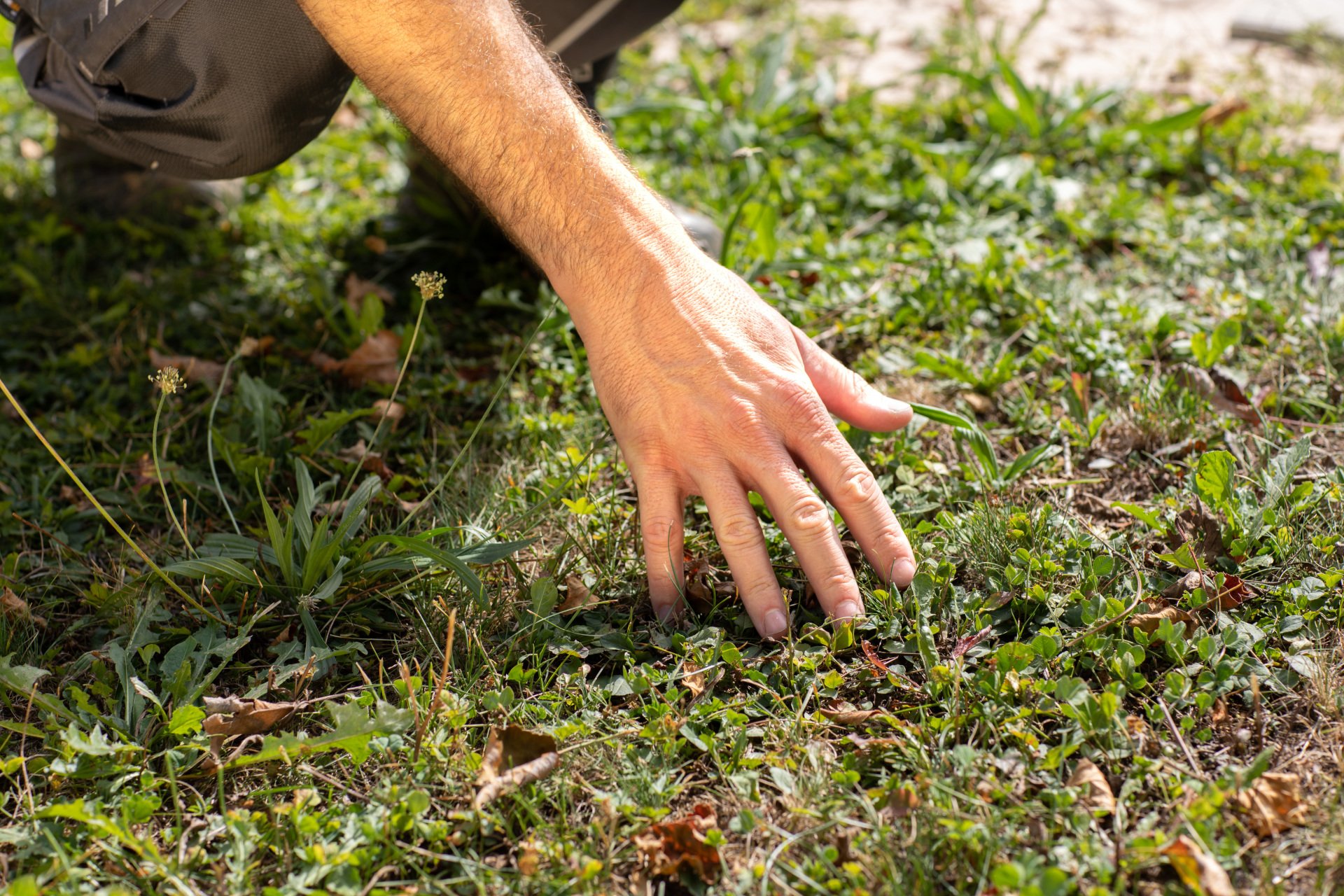 Topdressing | Shop für Rasensand