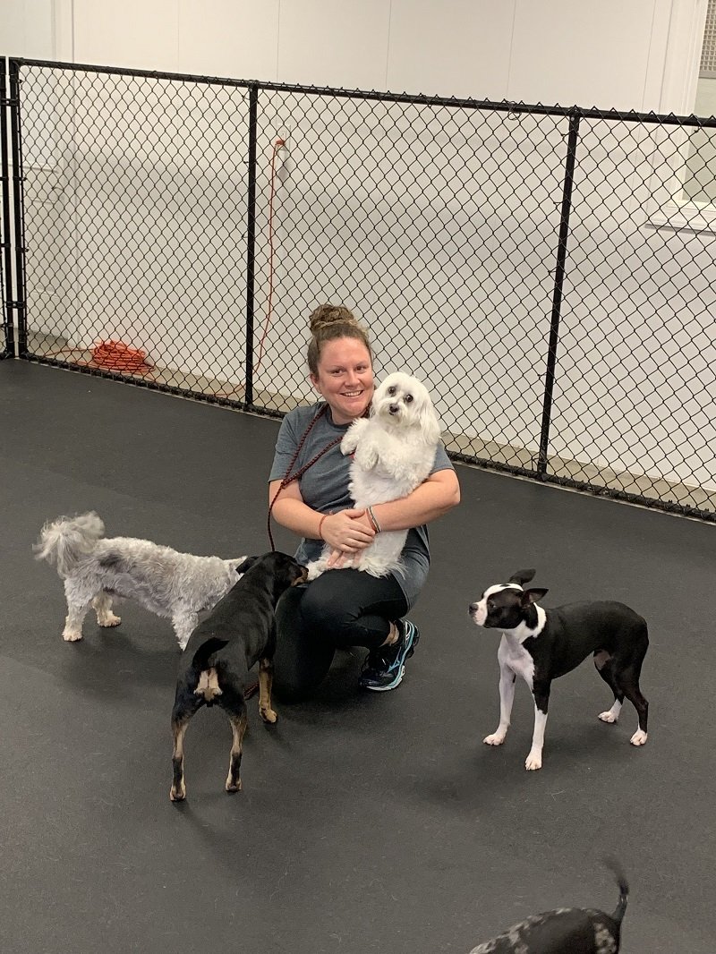 Dog Boarding in Goldsboro, NC Eli’s Friends