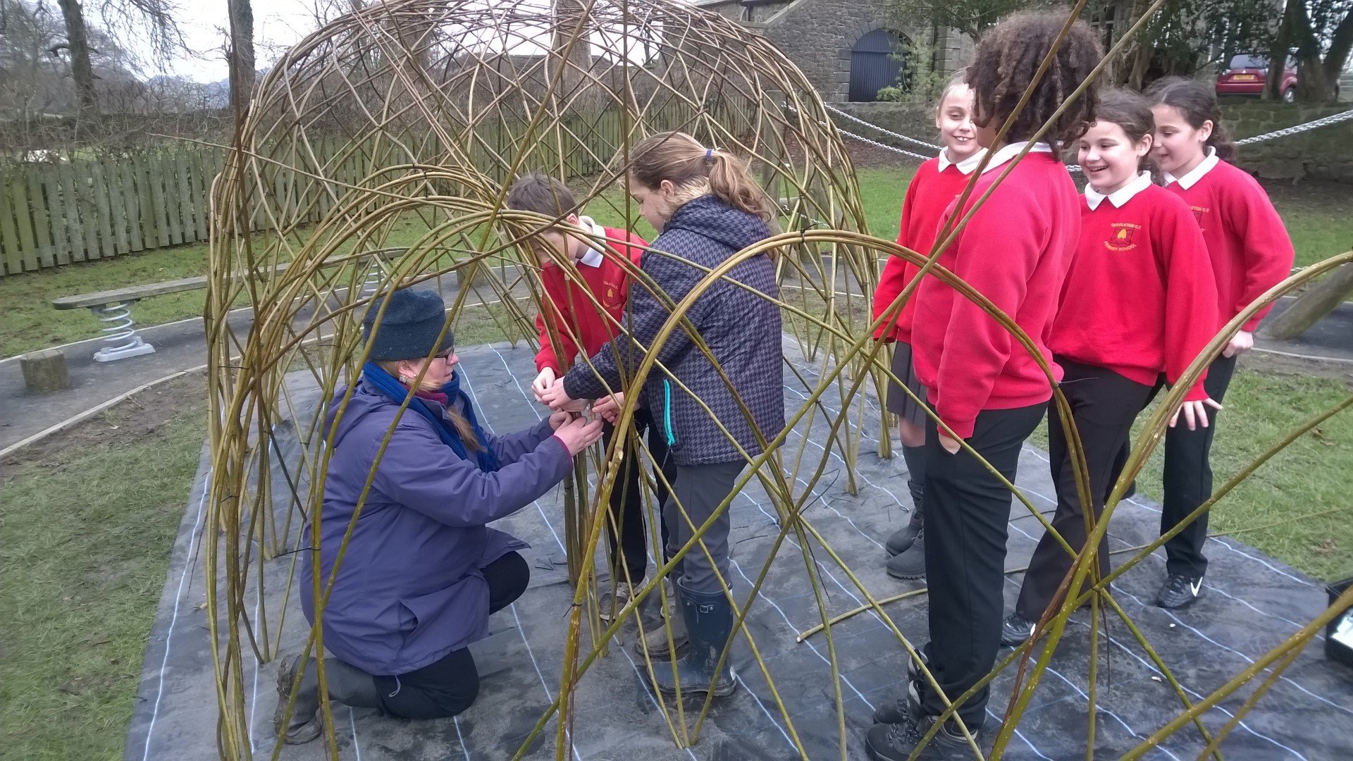 Willow for Schools Yorkshire Willow Living Willow