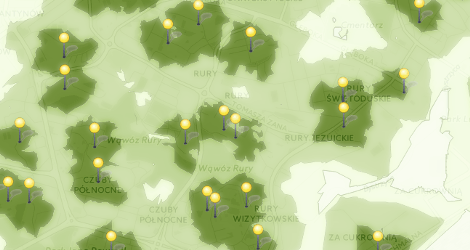 PIESZA DOSTĘPNOŚĆ KOMUNIKACYJNA PRZEDSZKOLI W LUBLINIE CZ. 1