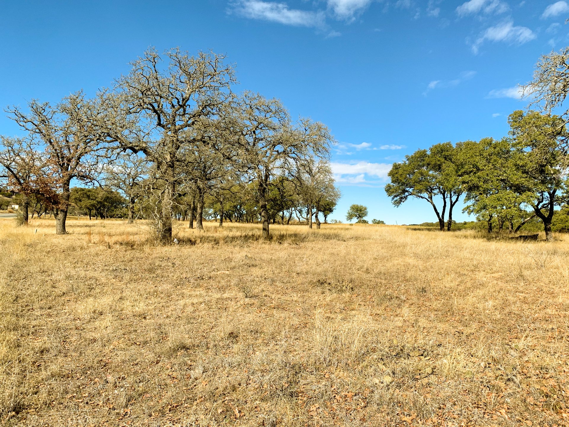 Available Properties Boot Ranch Fredericksburg, Texas 78624