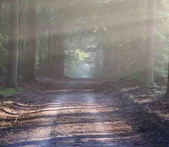 Youth Guarantee Programme Wellington