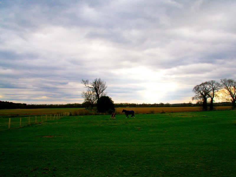 Luxury holiday farmhouse for groups York, Clock Farm Holidays