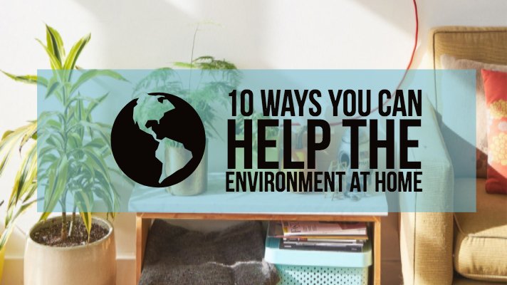 10 things you can do to help the environment at home