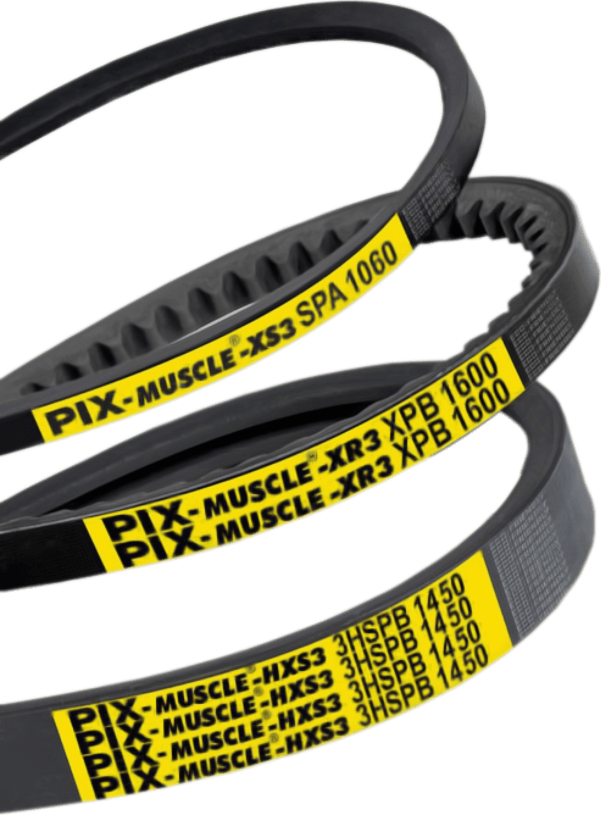 Power transmissions Anglia Bearing Company Ltd