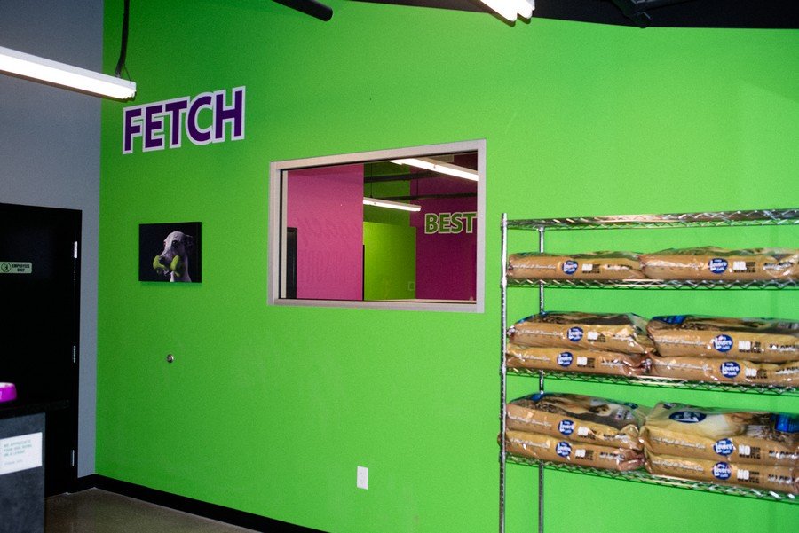 Legacy Dog Resort Gallery Frisco Texas Playcare Boarding