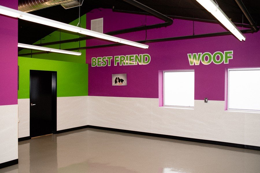 Legacy Dog Resort Gallery Frisco Texas Playcare Boarding