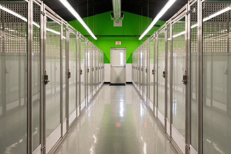 Legacy Dog Resort Gallery Frisco Texas Playcare Boarding