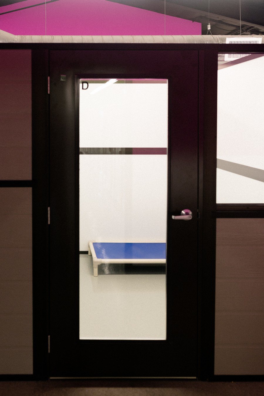 Legacy Dog Resort Gallery Frisco Texas Playcare Boarding