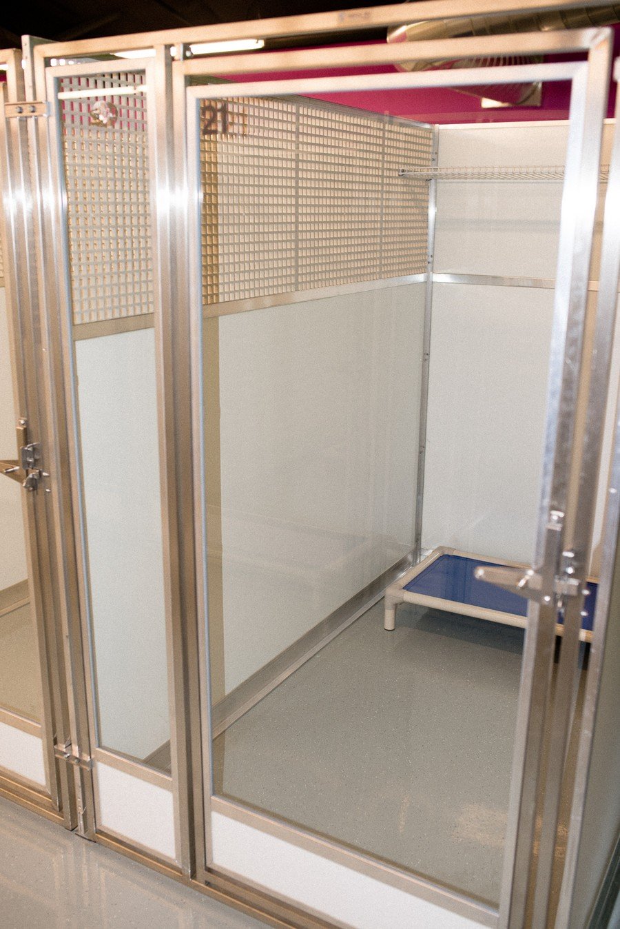 Legacy Dog Resort Gallery Frisco Texas Playcare Boarding