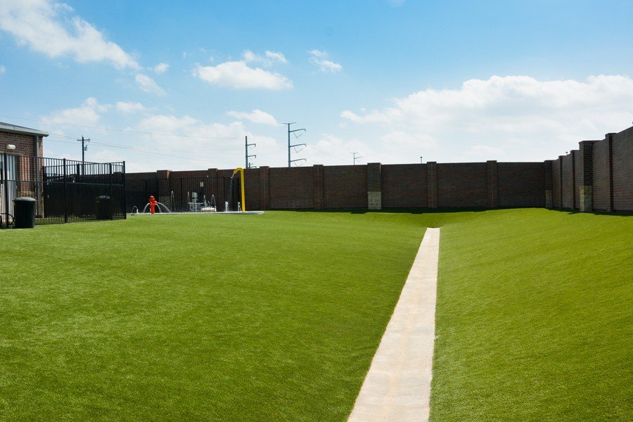 Legacy Dog Resort Gallery Frisco Texas Playcare Boarding