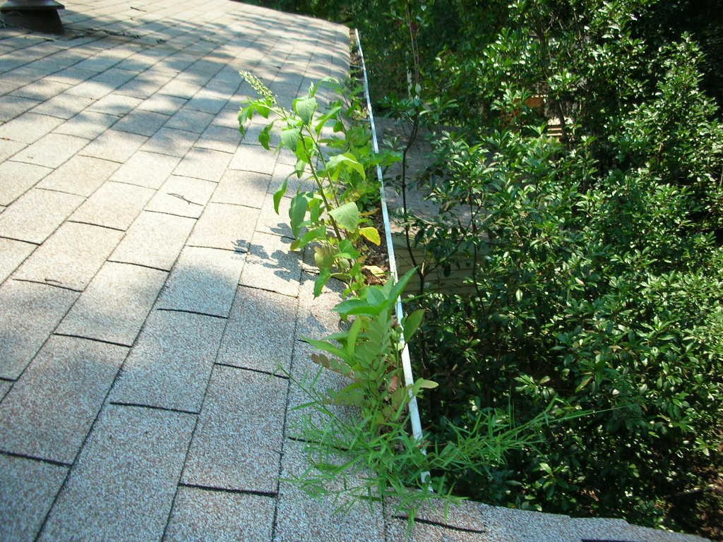 Gutter Cleaning Rochester