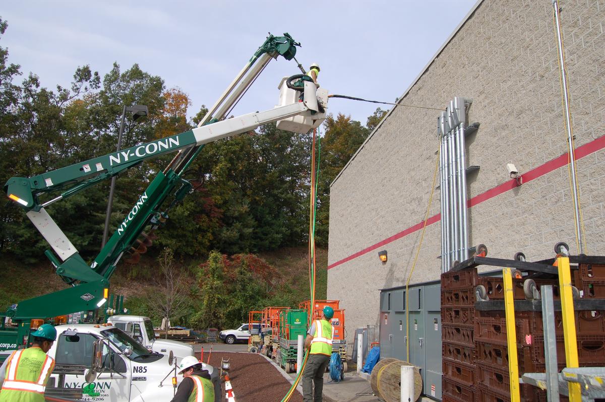costco danbury woman returns dead christmas tree to costco costco danbury woman returns dead christmas tree to costco