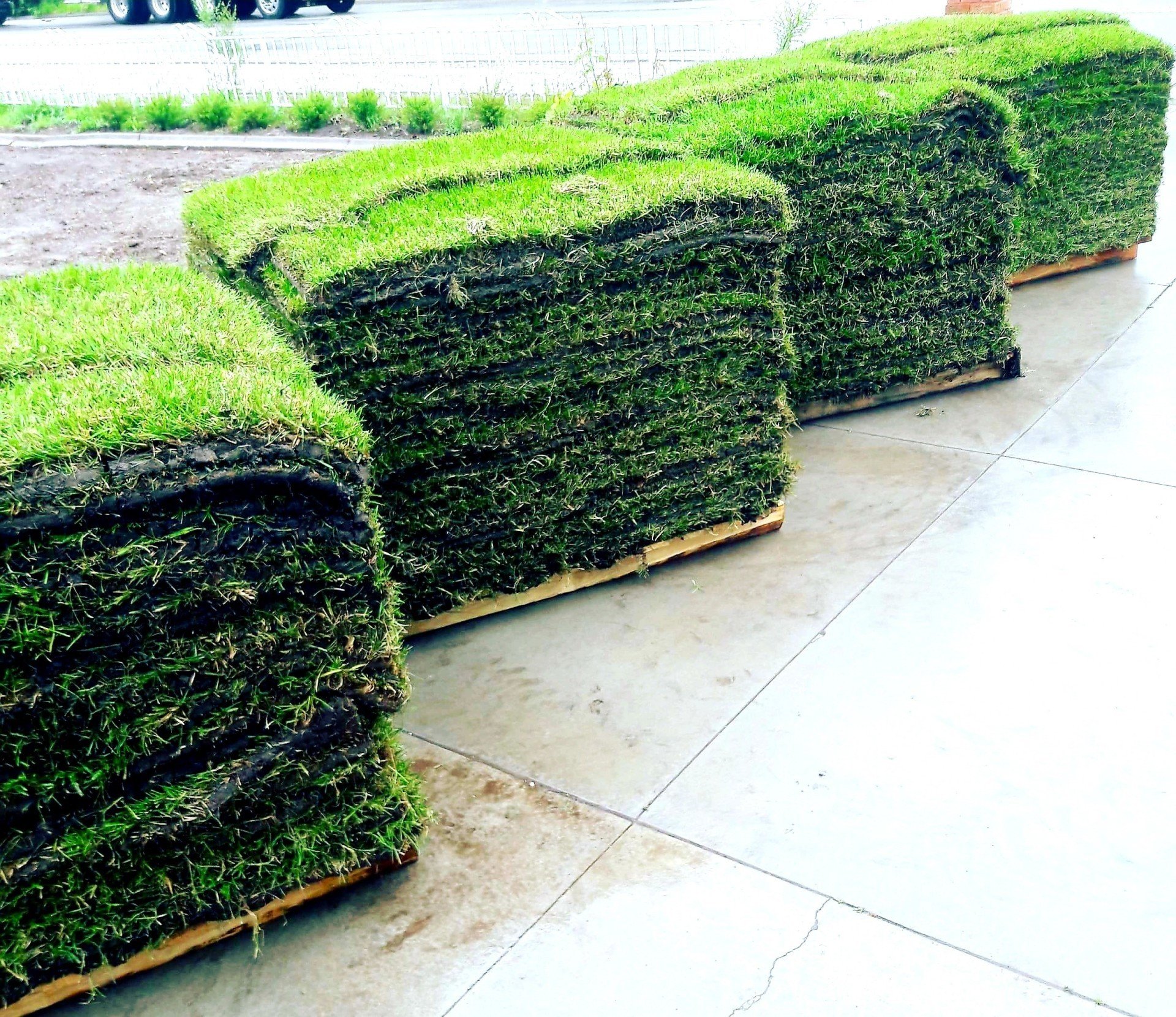 Sod Pricing Salt Lake Turf