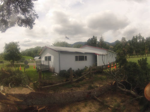 house with tree being felled