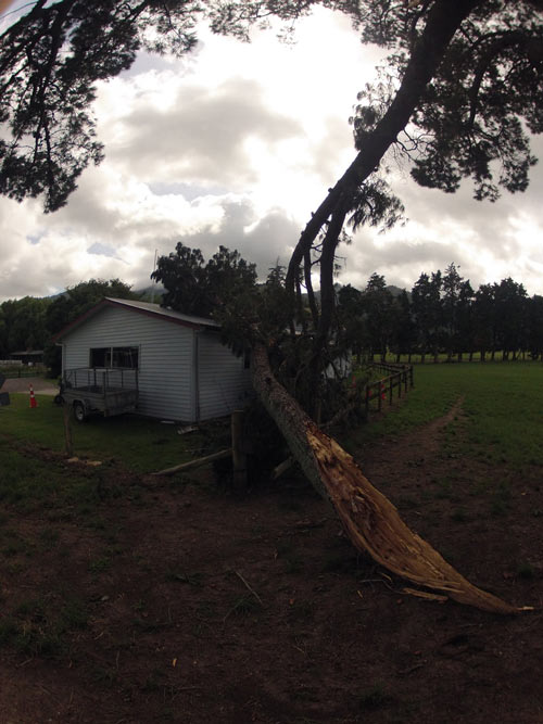 tree pruning equipment