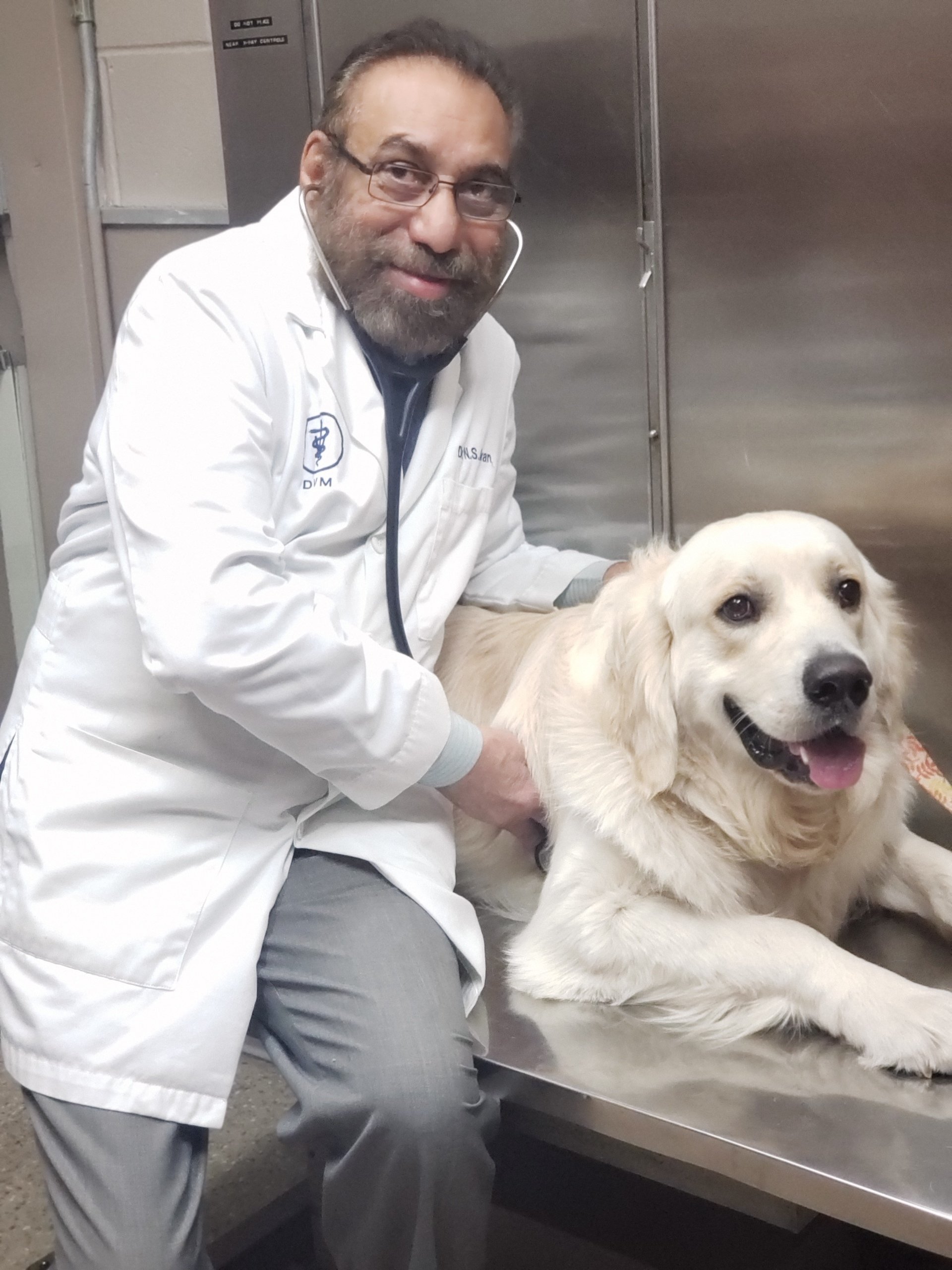 Meet Dr. Sran Alta Animal Hospital Clovis ca Alta Animal Hospital Clovis Ca