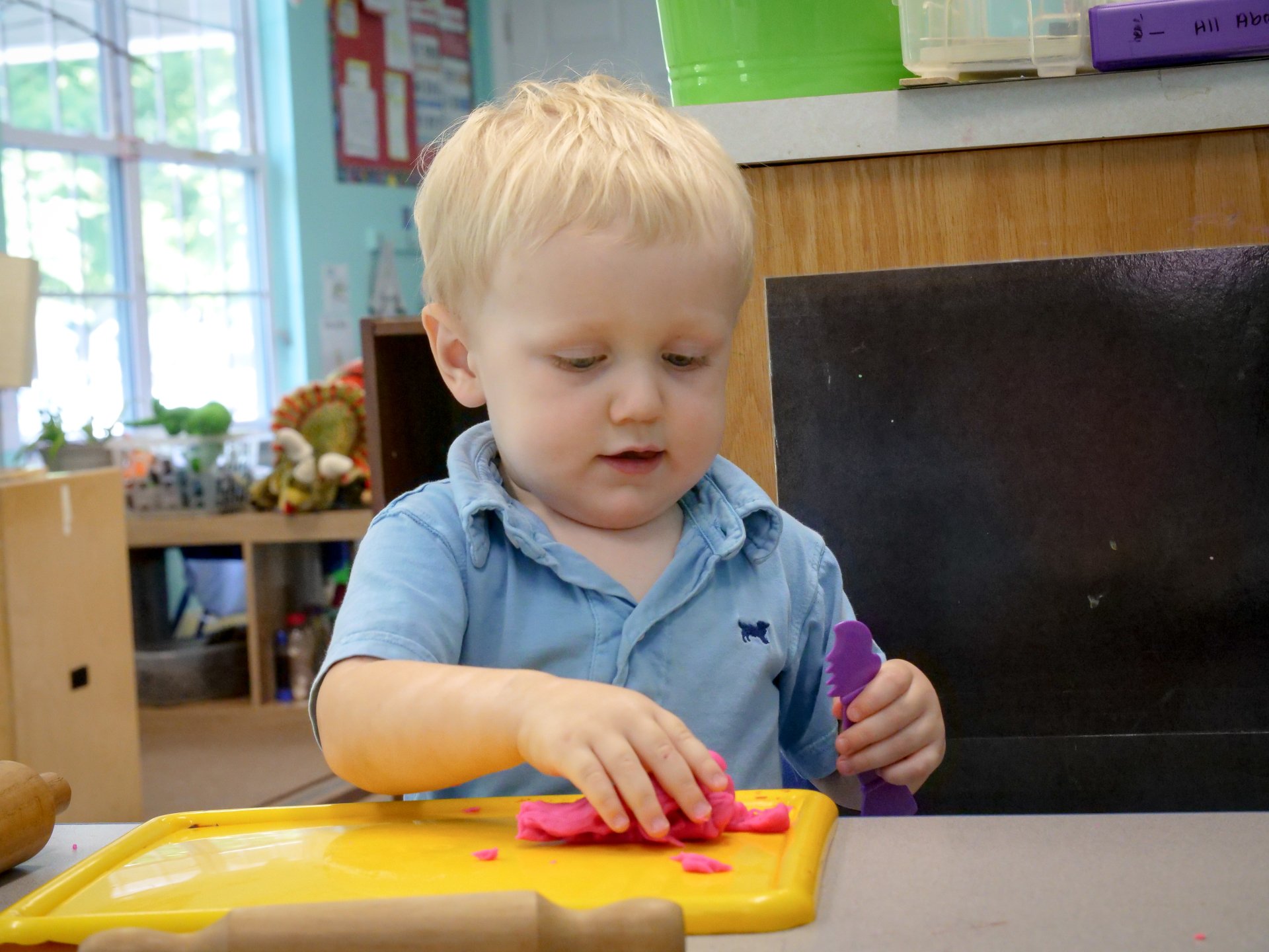 Toddler Learning Center Tree of Knowledge
