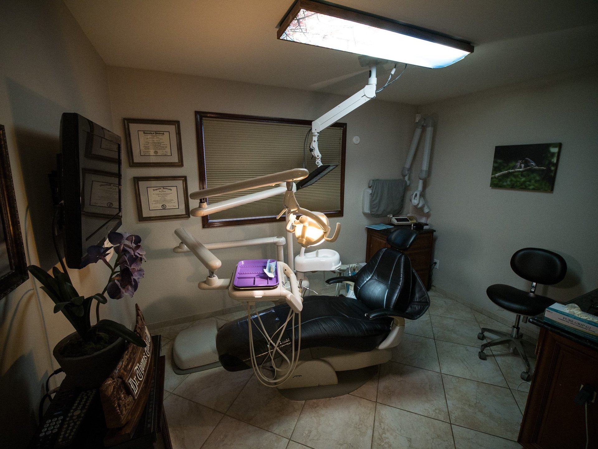 Services Cosmetic Dentistry Bridgeport & Trumbull, CT Preventive