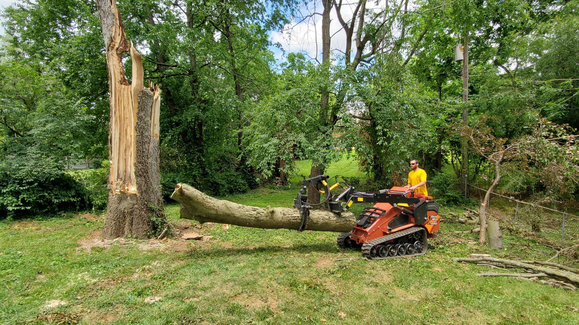 B & R Tree Care | Tree trimming | Lexington, KY
