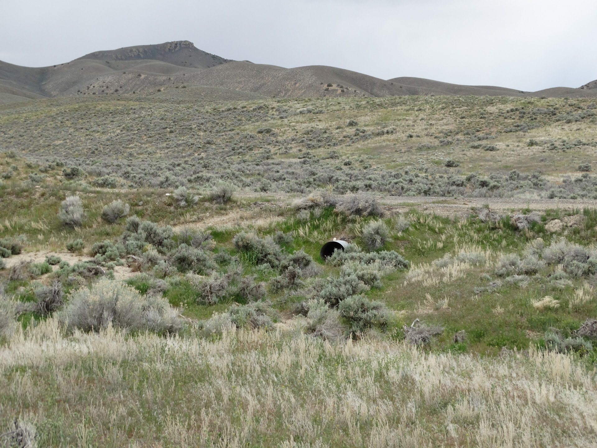 Nevada Land for Sale Hunting Land Mountain Land Acreage for Sale